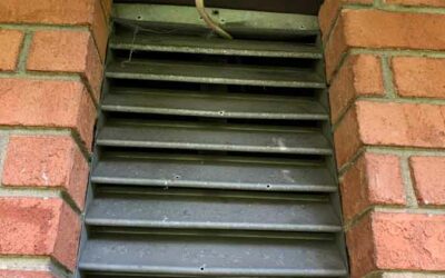 Gable Vents Allow Intruders