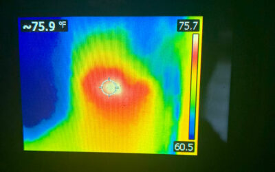 Thermal Imaging Used to Reveal Critter