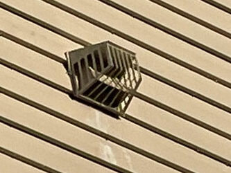 Bird Entry Through Vents