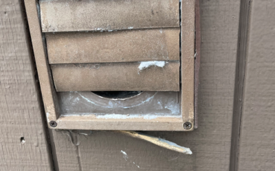 Dryer Vent Entry