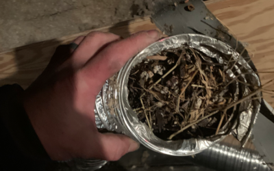 Bathroom Exhaust Pipe Nest