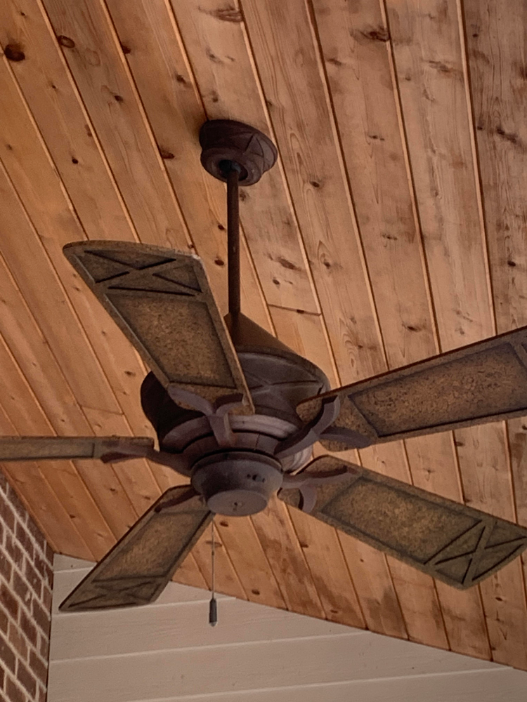 bird nesting on ceiling fan